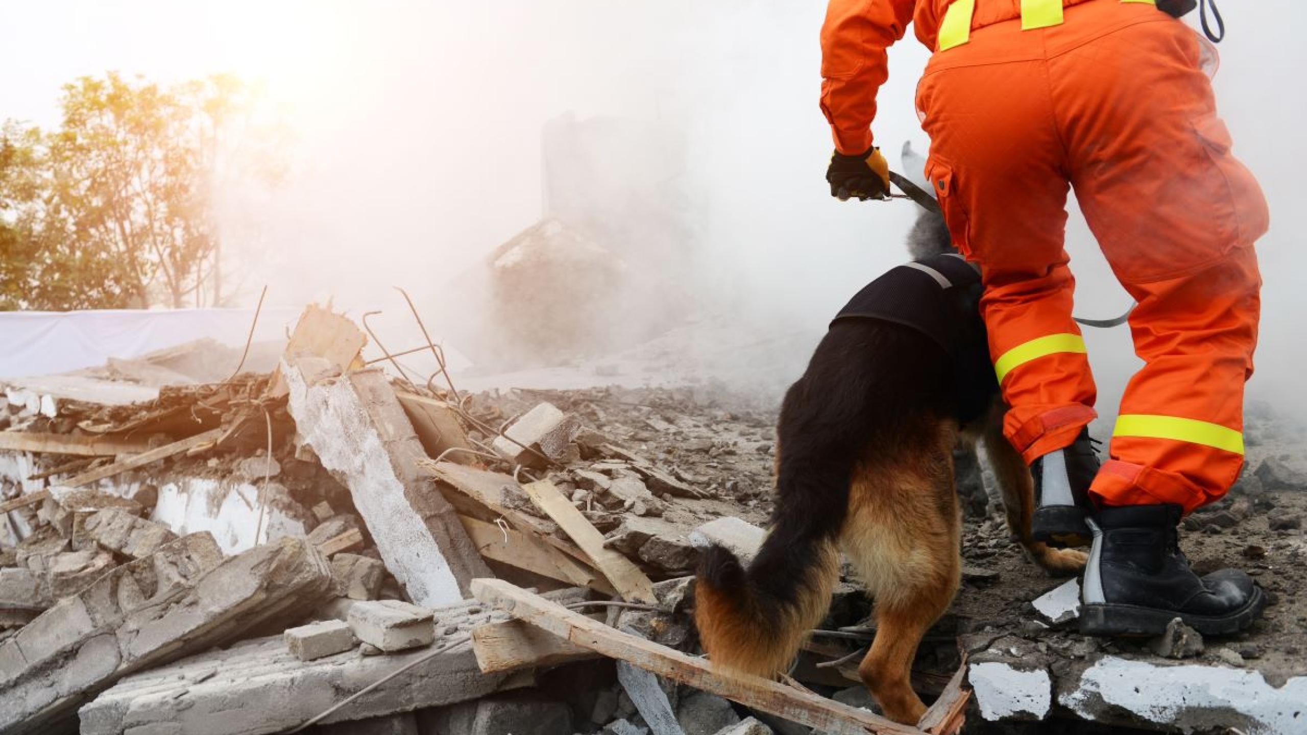 Reddingswerker met hond doorzoekt puin.